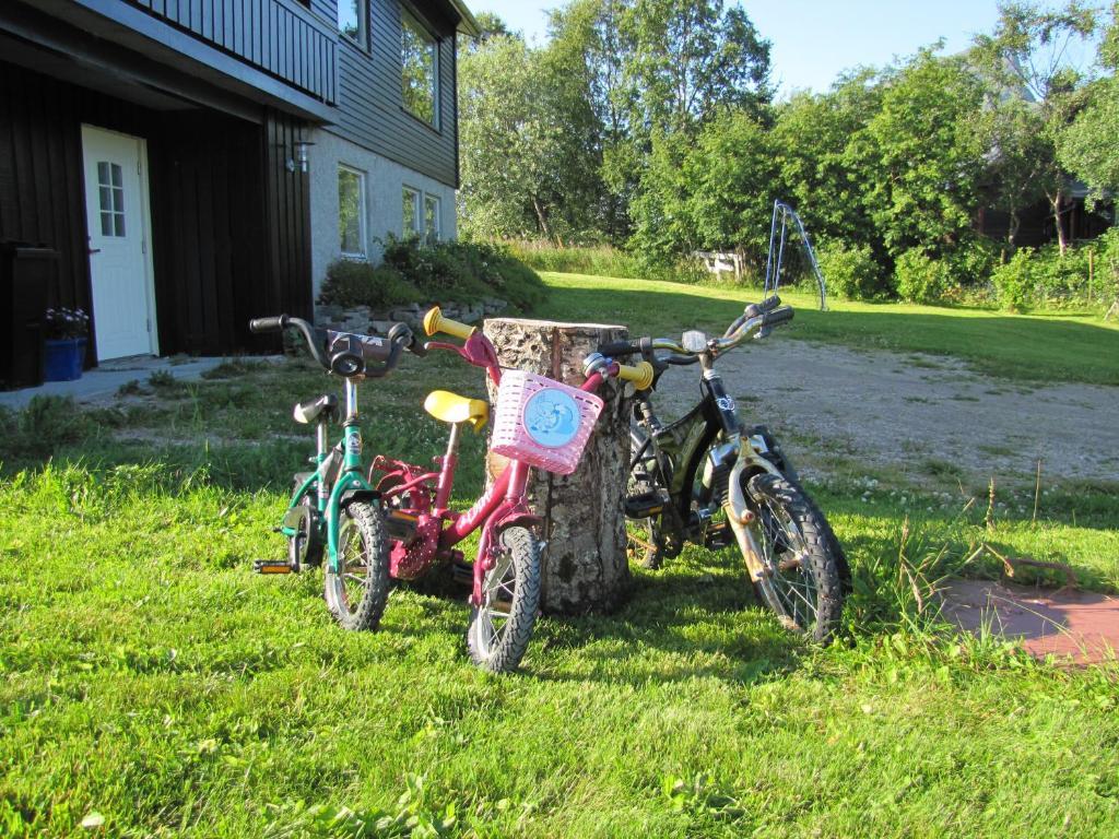 Midt I Lofoten Alstad  Экстерьер фото